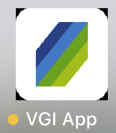 vgi.de