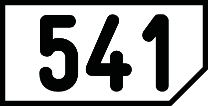 Linie 541