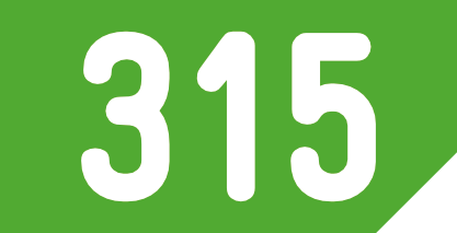 Linie 315